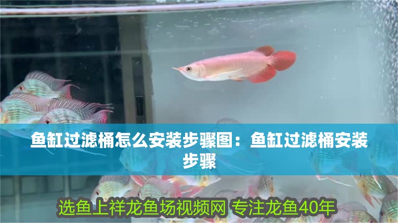 魚缸過濾桶怎么安裝步驟圖：魚缸過濾桶安裝步驟