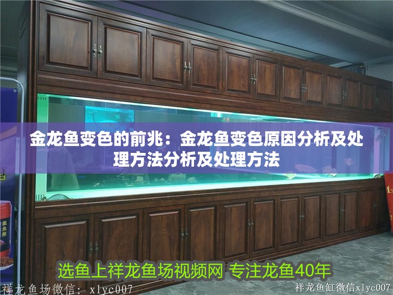 金龍魚變色的前兆：金龍魚變色原因分析及處理方法分析及處理方法