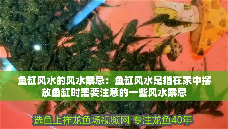 魚缸風水的風水禁忌：魚缸風水是指在家中擺放魚缸時需要注意的一些風水禁忌