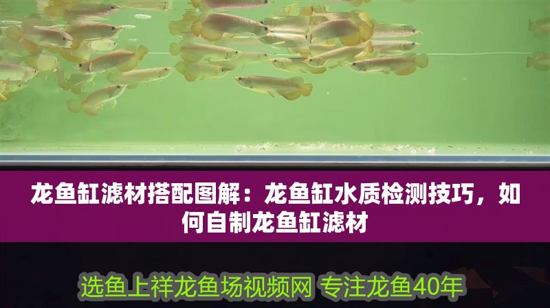 龍魚缸濾材搭配圖解：龍魚缸水質(zhì)檢測技巧，如何自制龍魚缸濾材