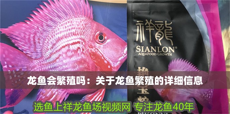 龍魚會繁殖嗎：關于龍魚繁殖的詳細信息