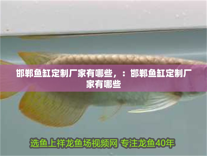 邯鄲魚缸定制廠家有哪些，：邯鄲魚缸定制廠家有哪些