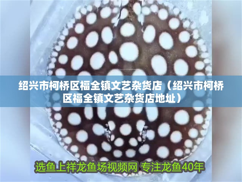 紹興市柯橋區福全鎮文藝雜貨店（紹興市柯橋區福全鎮文藝雜貨店地址）