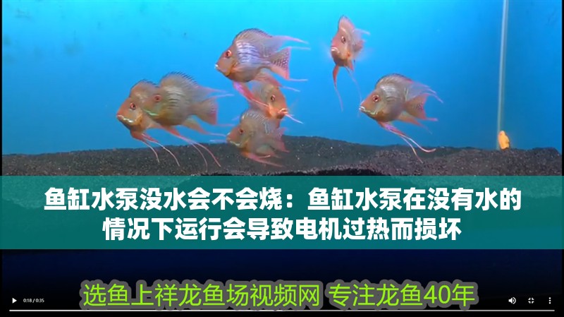 魚缸水泵沒水會不會燒：魚缸水泵在沒有水的情況下運行會導(dǎo)致電機過熱而損壞