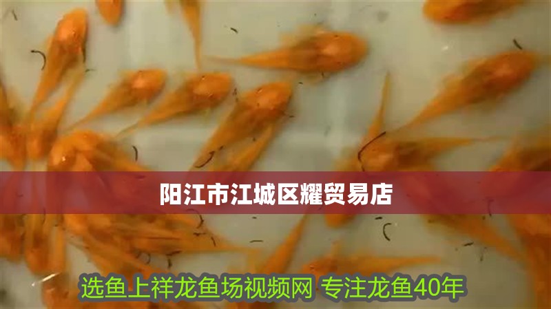 陽江市江城區耀貿易店