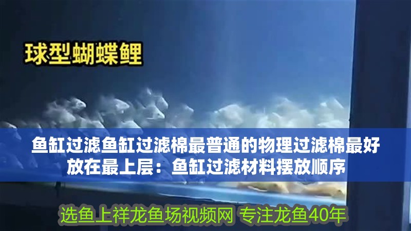 魚缸過濾魚缸過濾棉最普通的物理過濾棉最好放在最上層：魚缸過濾材料擺放順序 魚缸過濾魚缸過濾棉最普通的物理過濾棉最好放在最上層：魚缸過濾材料擺放順序 魚缸百科