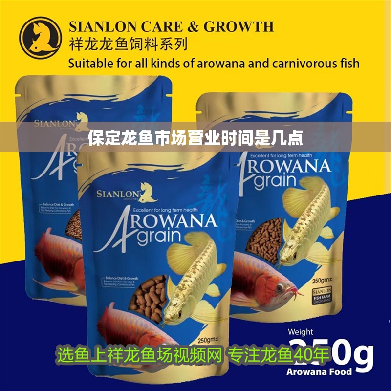 保定龍魚市場營業(yè)時間是幾點