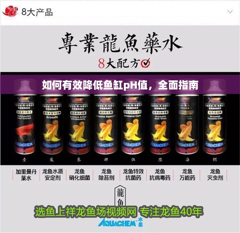 如何有效降低魚缸pH值，全面指南 如何有效降低魚缸pH值，全面指南 龍魚百科 第1張