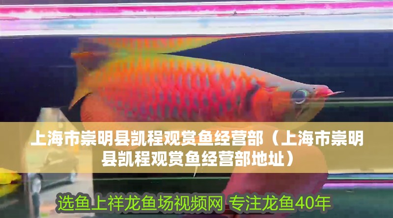 上海市<strong><mark>崇明</mark></strong>縣凱程觀賞魚經營部（上海市<strong><mark>崇明</mark></strong>縣凱程觀賞魚經營部地址）
