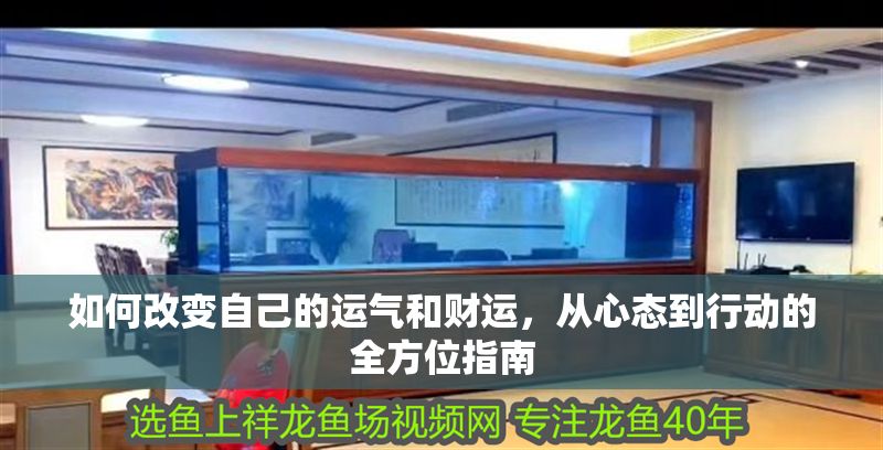 如何改變自己的運氣和財運,從心態到行動的全方位指南 龍魚百科 第1張 如何改變自己的運氣和財運,從心態到行動的全方位指南 如何改變自己的運氣和財運,從心態到行動的全方位指南 龍魚百科 第1張