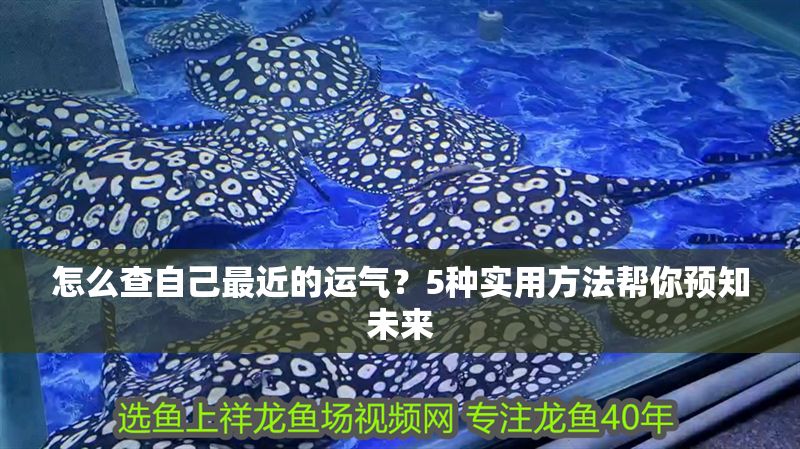 怎么查自己最近的運(yùn)氣？5種實(shí)用方法幫你預(yù)知未來(lái)