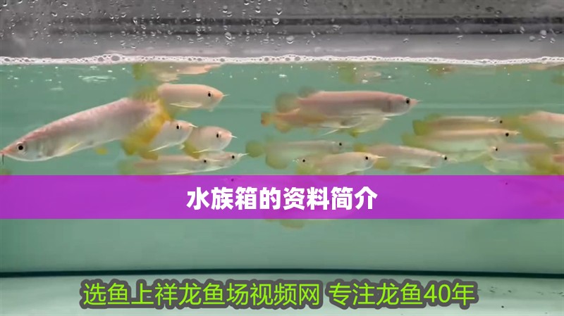 水族箱的資料簡介