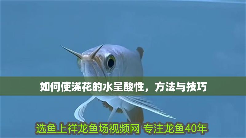 如何使澆花的水呈酸性，方法與技巧