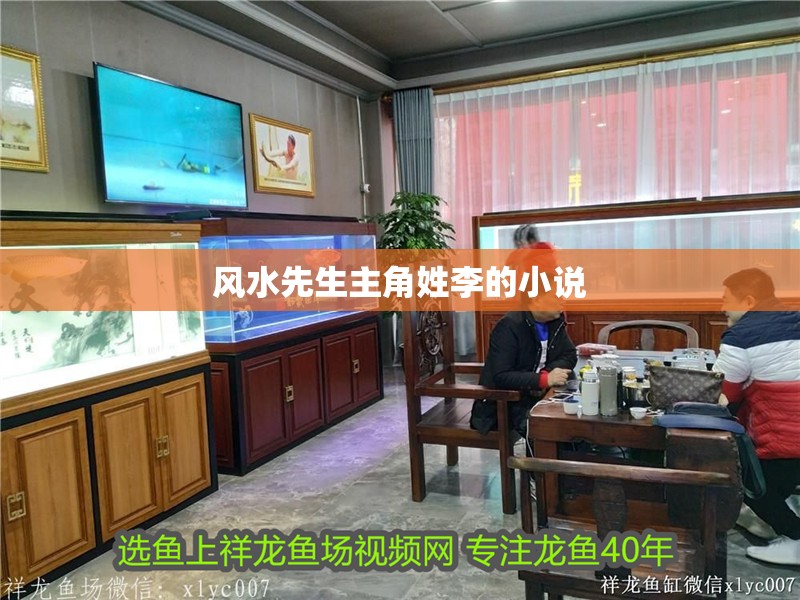 風水先生主角姓李的小說