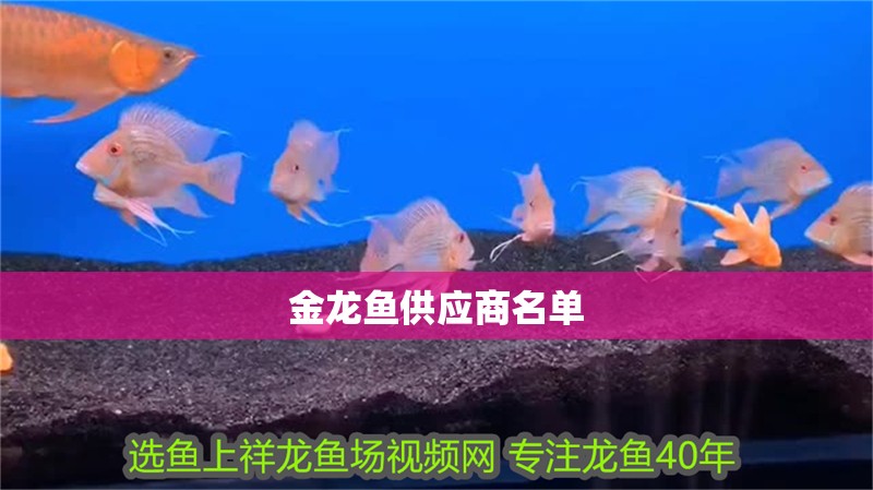 金龍魚供應(yīng)商名單