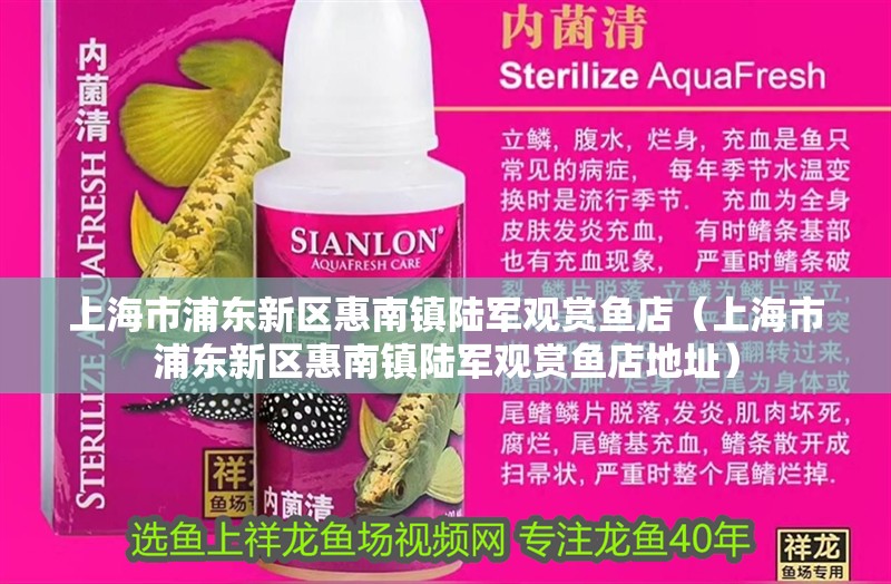 上海市浦東新區(qū)惠南鎮(zhèn)陸軍觀賞魚店（上海市浦東新區(qū)惠南鎮(zhèn)陸軍觀賞魚店地址）