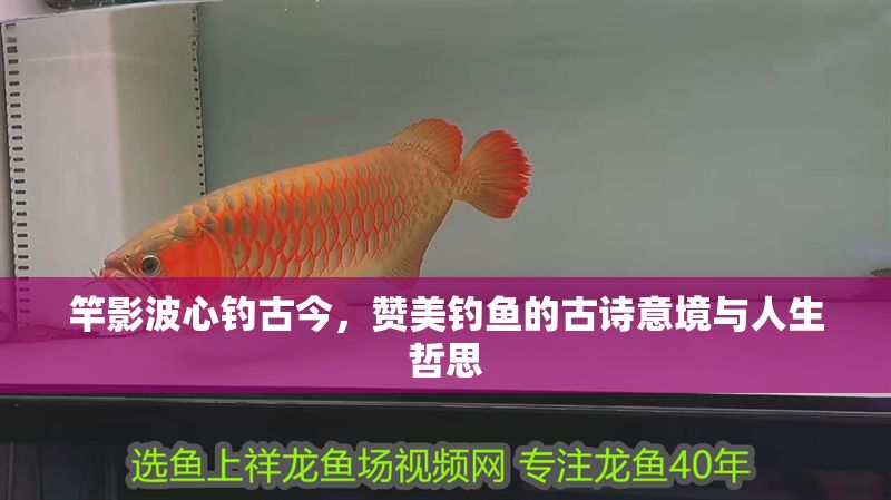 竿影波心釣古今，贊美釣魚的古詩意境與人生哲思