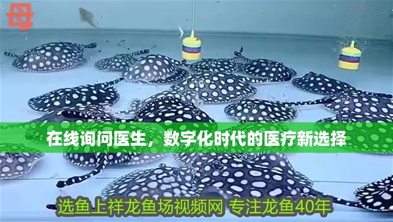 在線詢問醫(yī)生，數(shù)字化時(shí)代的醫(yī)療新選擇 在線詢問醫(yī)生，數(shù)字化時(shí)代的醫(yī)療新選擇 龍魚百科 第1張