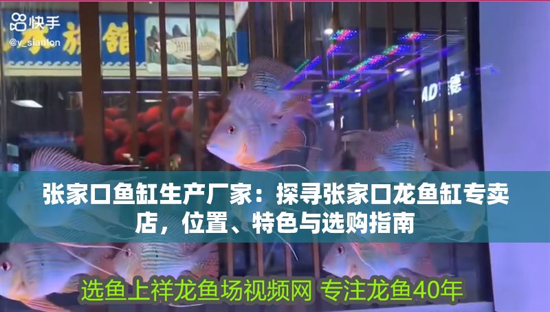 張家口魚(yú)缸生產(chǎn)廠家：探尋張家口龍魚(yú)缸專(zhuān)賣(mài)店，位置、特色與選購(gòu)指南