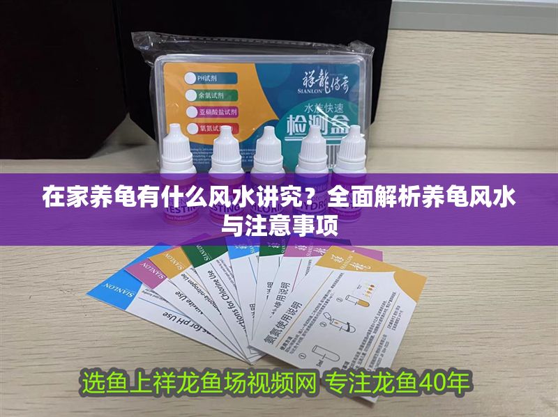 在家養龜有什么風水講究？全面解析養龜風水與注意事項