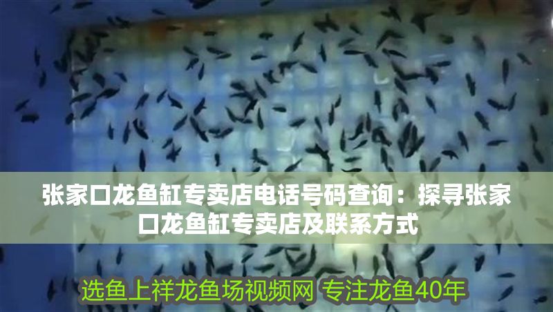 張家口龍魚缸專賣店電話號碼查詢：探尋張家口龍魚缸專賣店及聯系方式 張家口龍魚缸專賣店電話號碼查詢：探尋張家口龍魚缸專賣店及聯系方式 龍魚百科 第1張