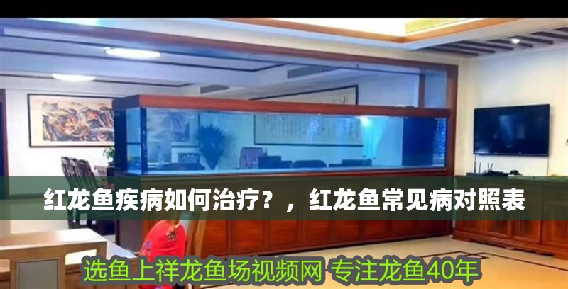 詳細閱讀:紅龍魚疾病如何治療?,紅龍魚常見病對照表 紅龍魚疾病如何治療?,紅龍魚常見病對照表
