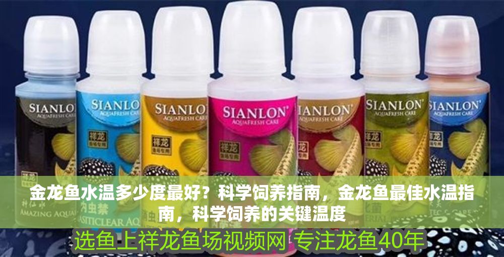 金龍魚水溫多少度最好？科學(xué)飼養(yǎng)指南，金龍魚最佳水溫指南，科學(xué)飼養(yǎng)的關(guān)鍵溫度