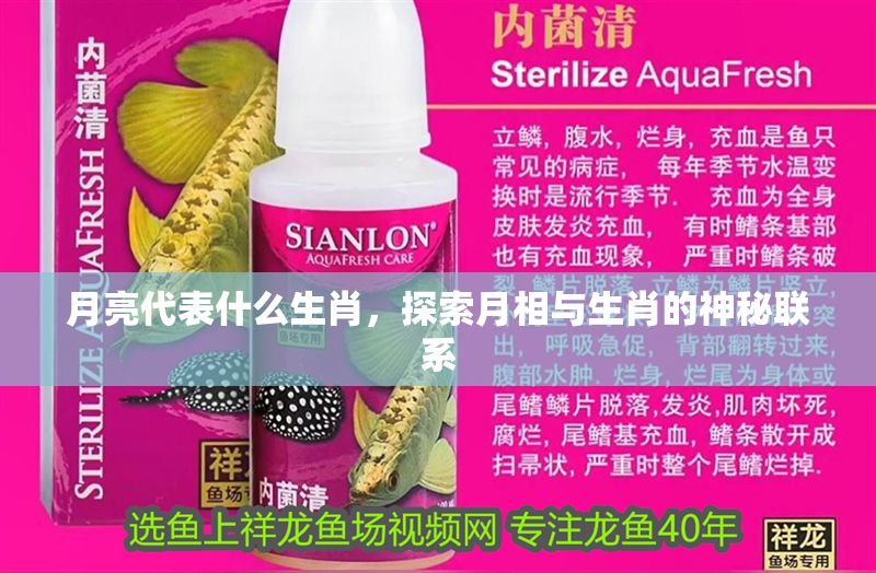 月亮代表什么生肖，探索月相與生肖的神秘聯系