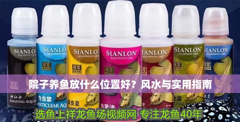 院子養魚放什么位置好？風水與實用指南