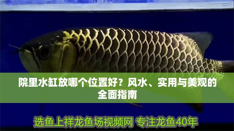院里水缸放哪個位置好？風水、實用與美觀的全面指南