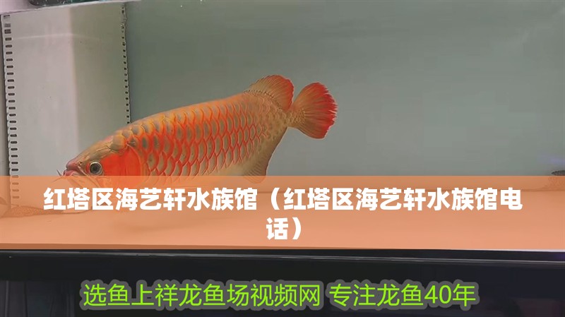 紅塔區海藝軒水族館（紅塔區海藝軒水族館電話）