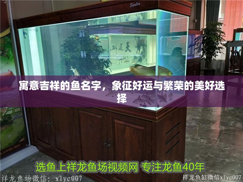 寓意吉祥的魚名字，象征好運與繁榮的美好選擇