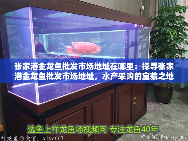 張家港金龍魚批發(fā)市場地址在哪里：探尋張家港金龍魚批發(fā)市場地址，水產(chǎn)采購的寶藏之地