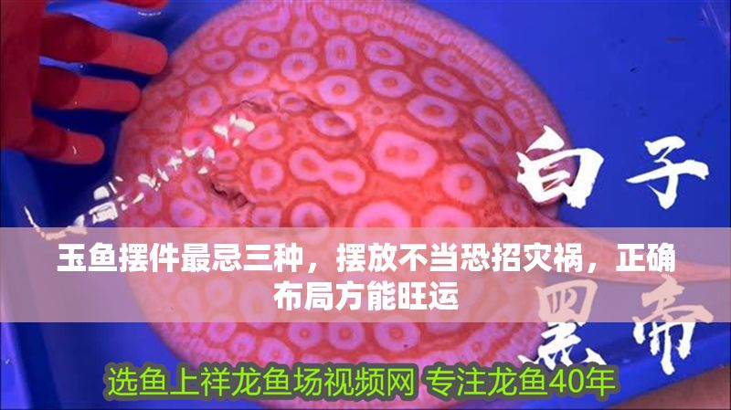 玉魚擺件最忌三種，擺放不當恐招災禍，正確布局方能旺運