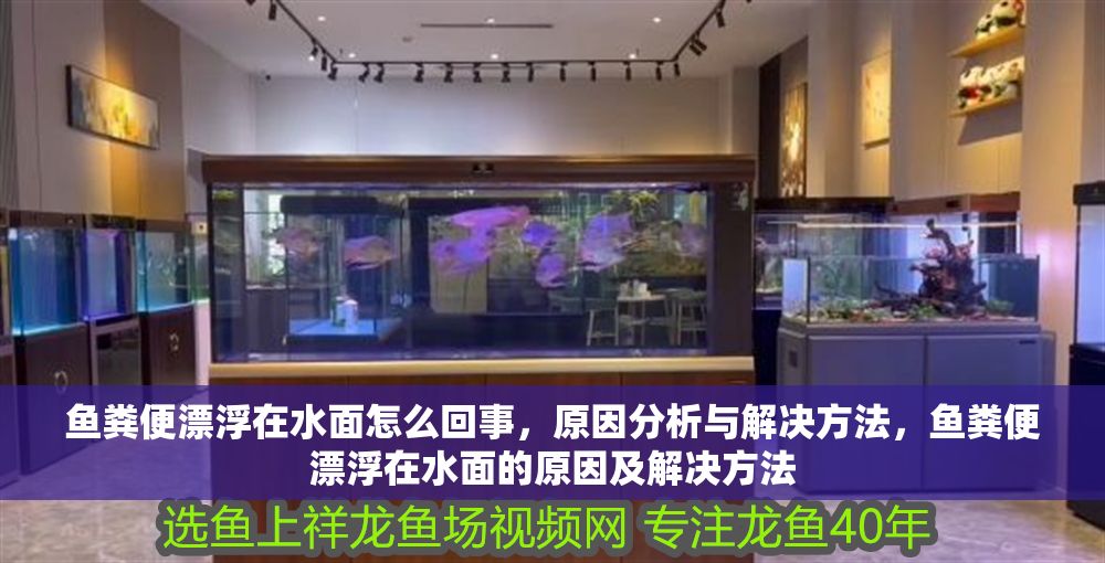 魚糞便漂浮在水面怎么回事，原因分析與解決方法，魚糞便漂浮在水面的原因及解決方法