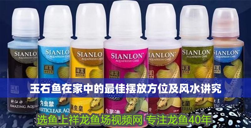 玉石魚在家中的最佳擺放方位及風水講究