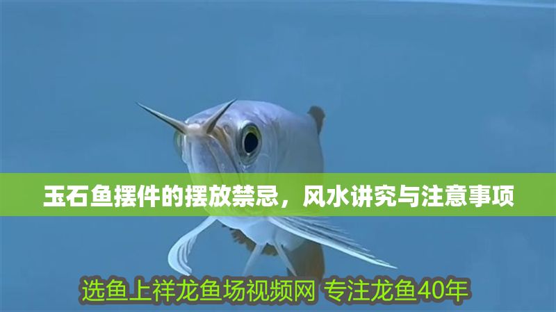 玉石魚擺件的擺放禁忌，風水講究與注意事項