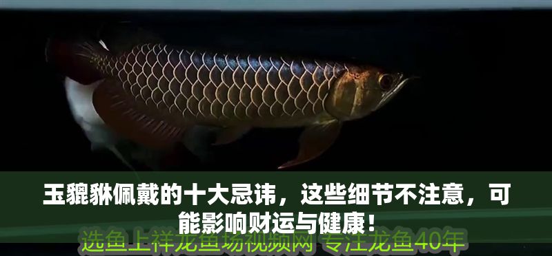 玉貔貅佩戴的十大忌諱，這些細(xì)節(jié)不注意，可能影響財(cái)運(yùn)與健康！