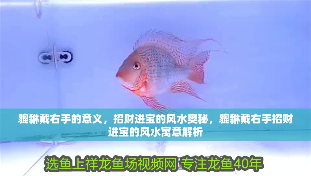 貔貅戴右手的意義，招財進寶的風水奧秘，貔貅戴右手招財進寶的風水寓意解析