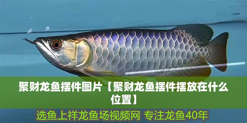 聚財(cái)龍魚擺件圖片【聚財(cái)龍魚擺件擺放在什么位置】