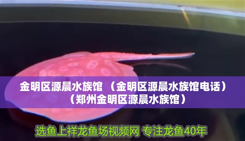 金明區源晨水族館 （金明區源晨水族館電話）（鄭州金明區源晨水族館）