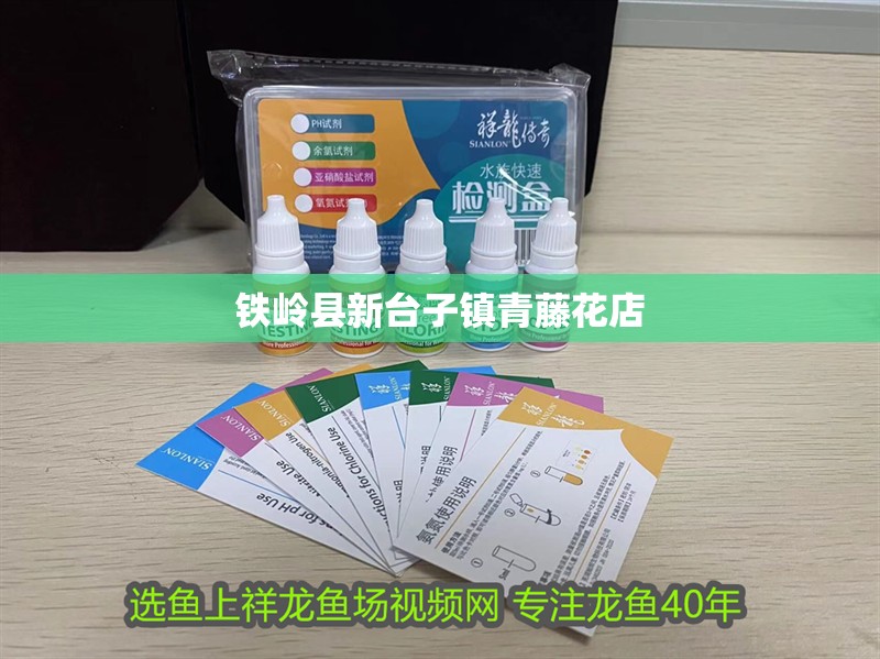 鐵嶺縣新臺子鎮(zhèn)青藤花店