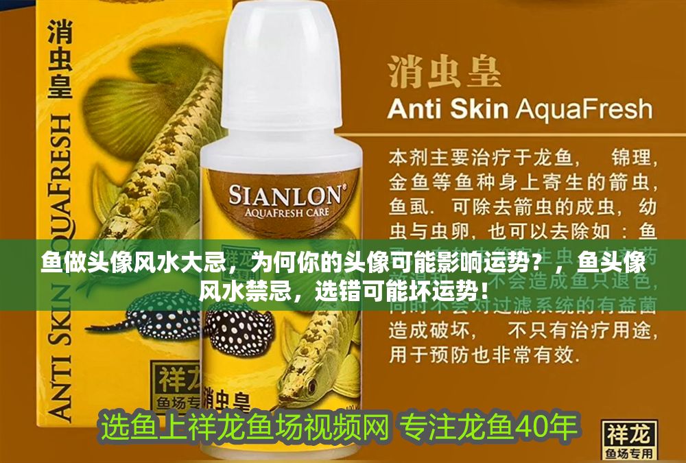 魚做頭像風水大忌，為何你的頭像可能影響運勢？，魚頭像風水禁忌，選錯可能壞運勢！