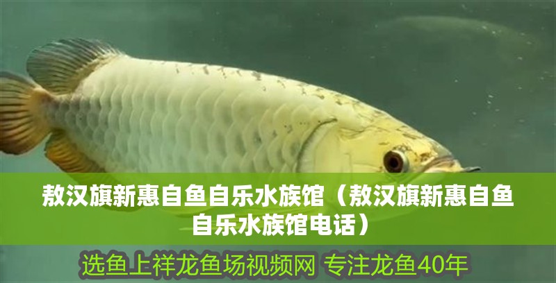 敖漢旗新惠自魚自樂水族館（敖漢旗新惠自魚自樂水族館電話）
