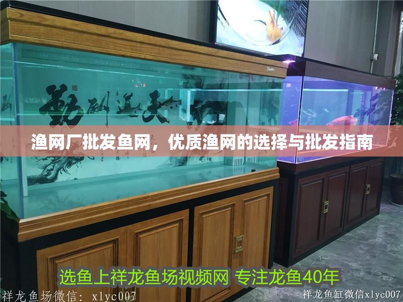 漁網(wǎng)廠批發(fā)魚網(wǎng)，優(yōu)質(zhì)漁網(wǎng)的選擇與批發(fā)指南
