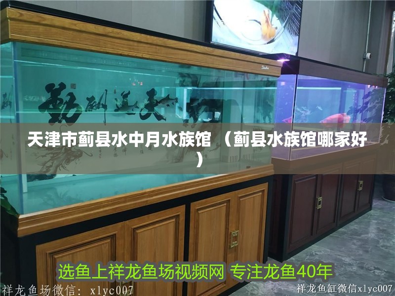天津市薊縣水中月水族館 （薊縣水族館哪家好）