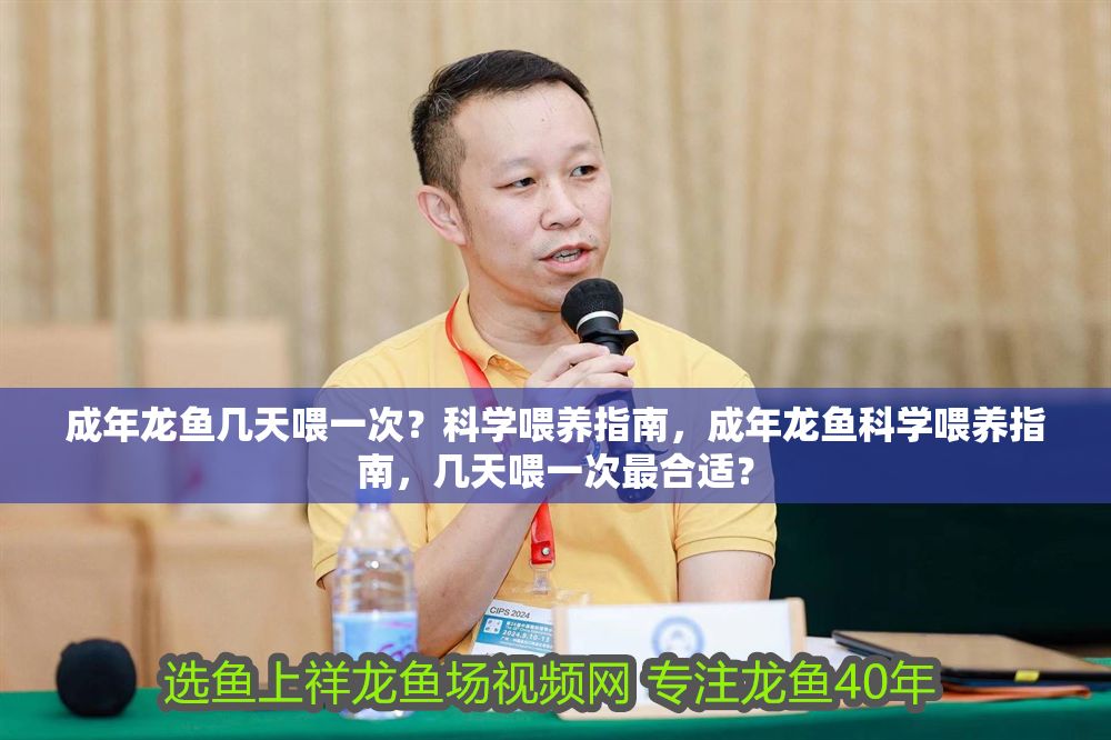 成年龍魚幾天喂一次？科學(xué)喂養(yǎng)指南，成年龍魚科學(xué)喂養(yǎng)指南，幾天喂一次最合適？ 成年龍魚幾天喂一次？科學(xué)喂養(yǎng)指南，成年龍魚科學(xué)喂養(yǎng)指南，幾天喂一次最合適？ 龍魚百科 第1張