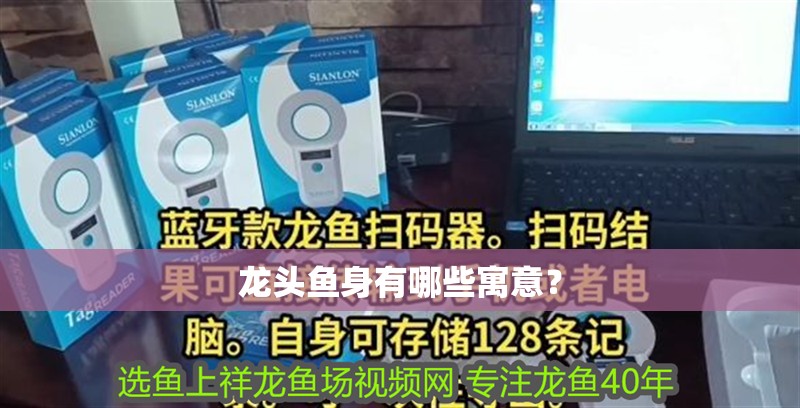 龍頭魚(yú)身有哪些寓意？