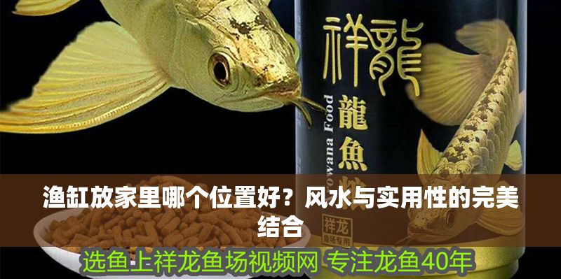 漁缸放家里哪個(gè)位置好？風(fēng)水與實(shí)用性的完美結(jié)合