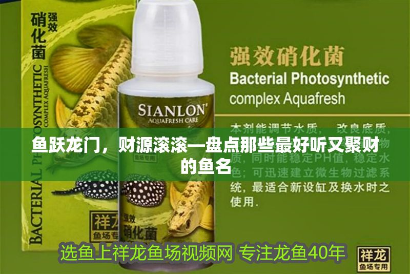 魚躍龍門，財源滾滾—盤點那些最好聽又聚財的魚名